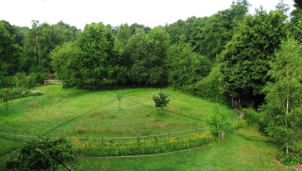 Vakantieverblijf Volmolen B&B 马泽克 外观 照片