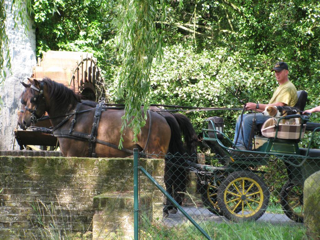 Vakantieverblijf Volmolen B&B 马泽克 外观 照片