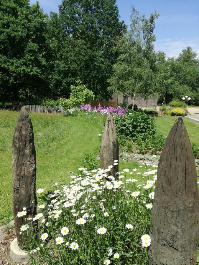 Vakantieverblijf Volmolen B&B 马泽克 外观 照片