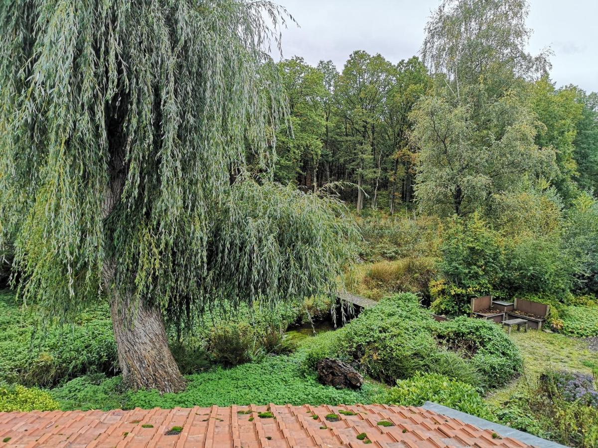 Vakantieverblijf Volmolen B&B 马泽克 外观 照片